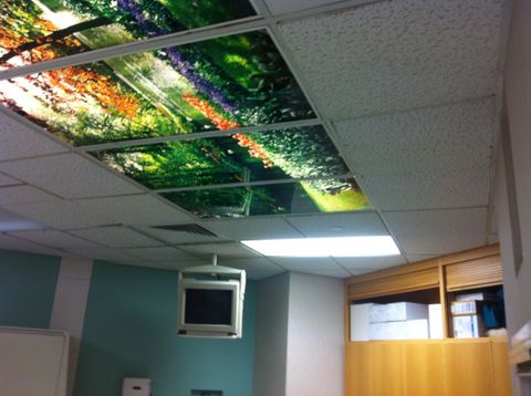 Duke University Medical Center Oncology — photo 2
