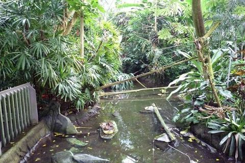 NC Zoo Aviary Dome — photo 2