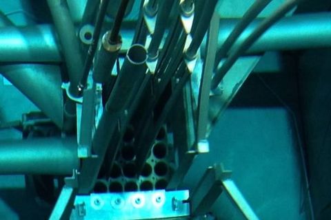 North Carolina State University Burlington Labs — photo 6