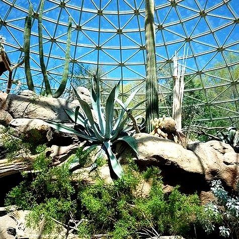 North Carolina Zoo Sonora Desert Dome — photo 3
