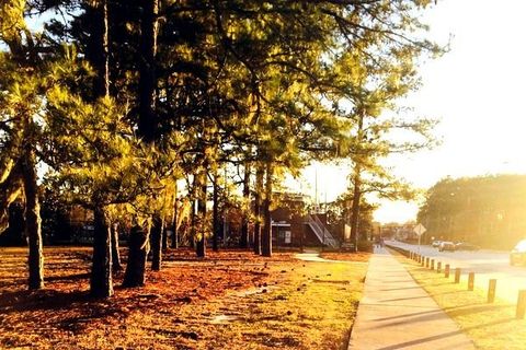 UNC-Wilmington Boseman Field — photo 3